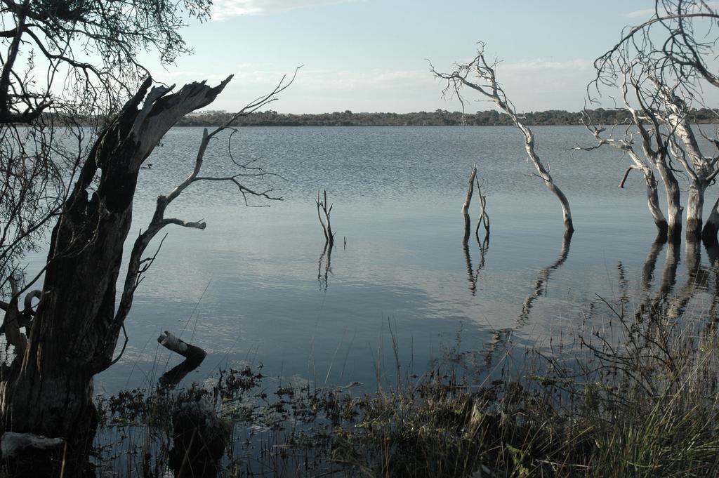 Вілла Esperance Coastal Retreat Екстер'єр фото